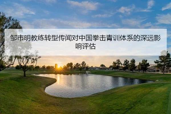 邹市明教练转型传闻对中国拳击青训体系的深远影响评估